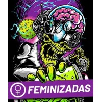 Feminizadas