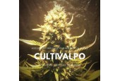 CULTIVALPO GROWSHOP