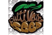 CULTIVATE SEED