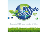 MUNDO SEEDS